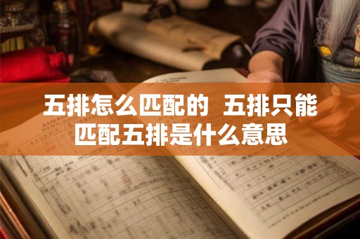 五排怎么匹配的  五排只能匹配五排是什么意思