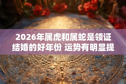 2026年属虎和属蛇是领证结婚的好年份 运势有明显提升