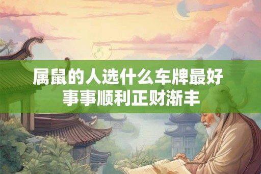 属鼠的人选什么车牌最好 事事顺利正财渐丰 属鼠的人选什么车牌最好 事事顺利正财渐丰