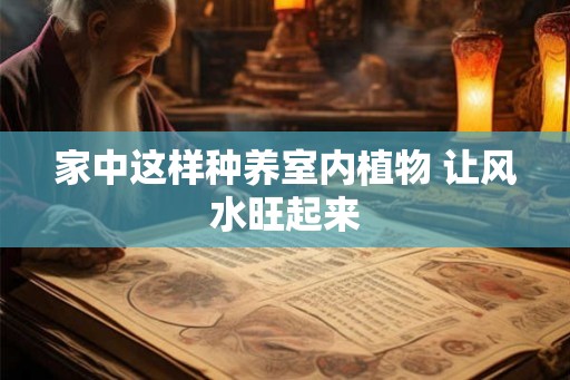 家中这样种养室内植物 让风水旺起来