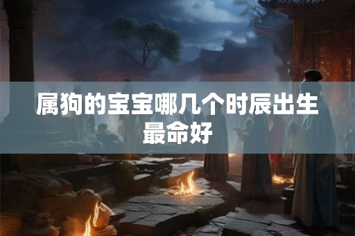 属狗的宝宝哪几个时辰出生最命好