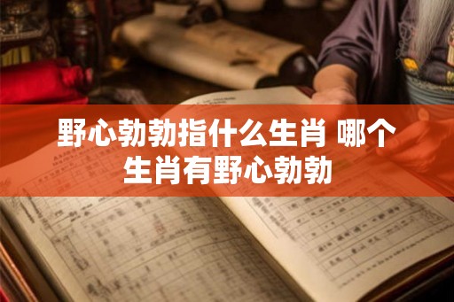 野心勃勃指什么生肖 哪个生肖有野心勃勃