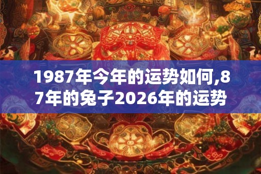 1987年今年的运势如何,87年的兔子2026年的运势