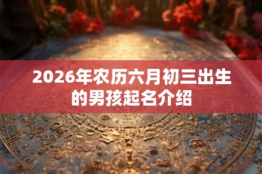 2026年农历六月初三出生的男孩起名介绍