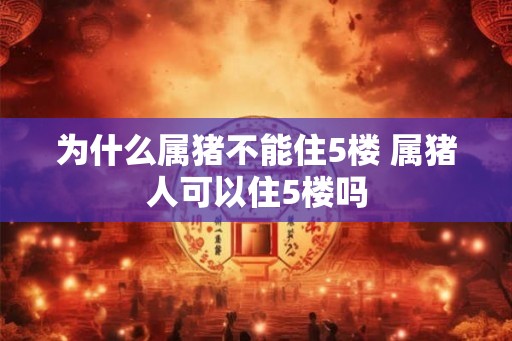 为什么属猪不能住5楼 属猪人可以住5楼吗 为什么属猪不能住5楼 属猪人可以住5楼吗