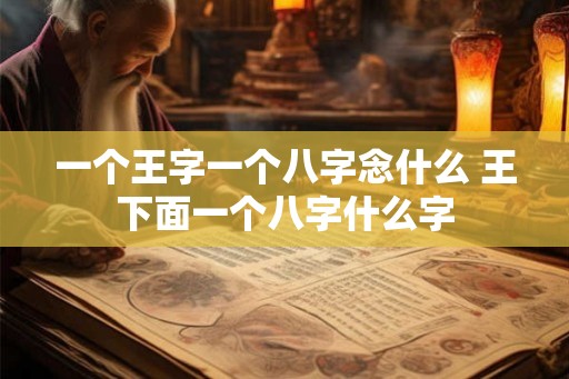 一个王字一个八字念什么 王下面一个八字什么字