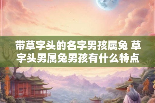 带草字头的名字男孩属兔 草字头男属兔男孩有什么特点