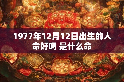 1977年12月12日出生的人命好吗 是什么命