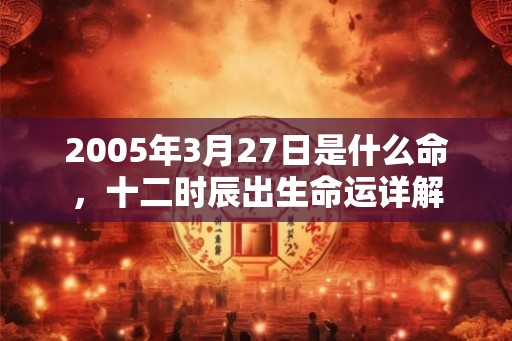 2005年3月27日是什么命，十二时辰出生命运详解