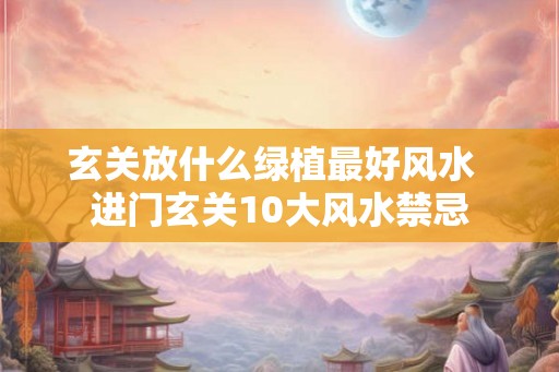 玄关放什么绿植最好风水 进门玄关10大风水禁忌 玄关放什么绿植最好风水 进门玄关10大风水禁忌