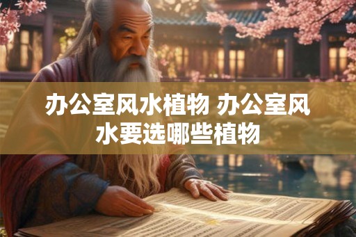 办公室风水植物 办公室风水要选哪些植物