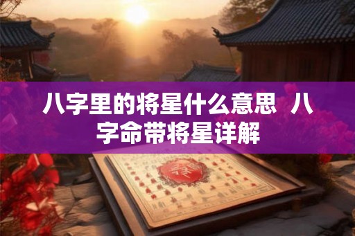 八字里的将星什么意思  八字命带将星详解