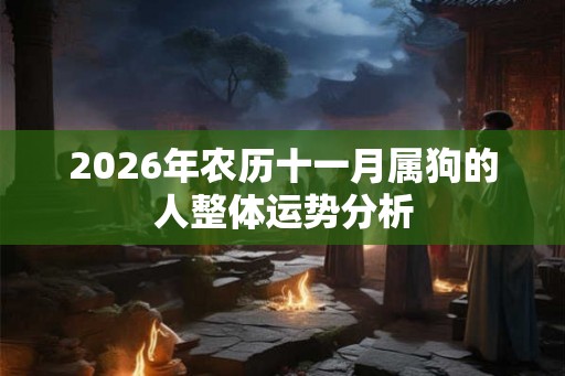 2026年农历十一月属狗的人整体运势分析
