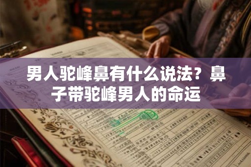 男人驼峰鼻有什么说法?鼻子带驼峰男人的命运 男人驼峰鼻有什么说法?鼻子带驼峰男人的命运