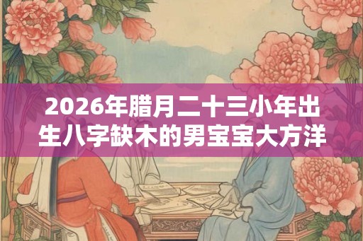 2026年腊月二十三小年出生八字缺木的男宝宝大方洋气的名字