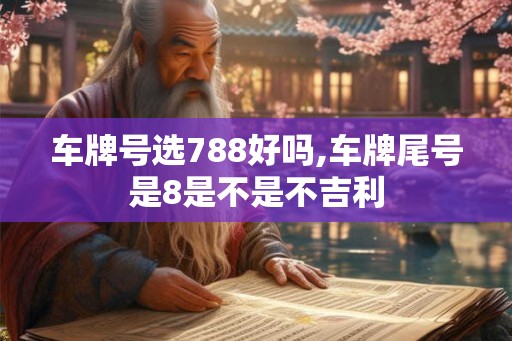 车牌号选788好吗,车牌尾号是8是不是不吉利