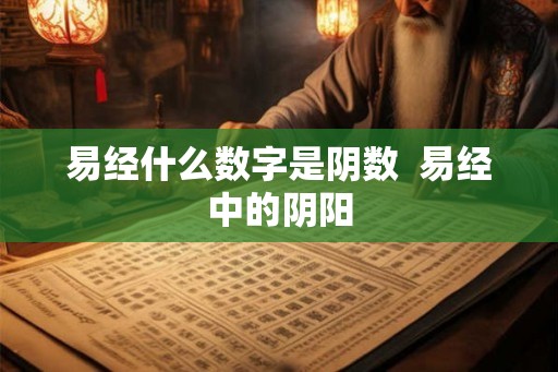 易经什么数字是阴数  易经中的阴阳