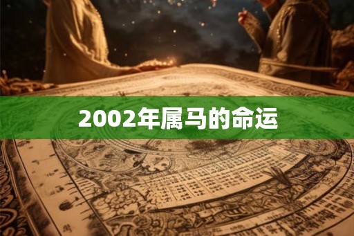 2002年属马的命运 2002年属马的命运