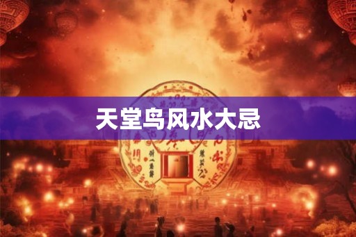 天堂鸟风水大忌