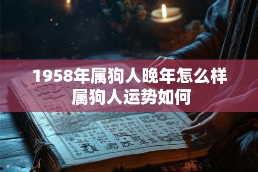 1958年属狗人晚年怎么样 属狗人运势如何