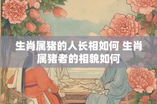 生肖属猪的人长相如何 生肖属猪者的相貌如何