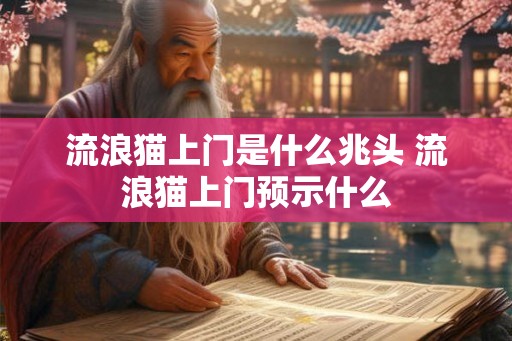 流浪猫上门是什么兆头 流浪猫上门预示什么