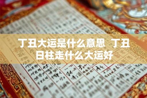 丁丑大运是什么意思  丁丑日柱走什么大运好