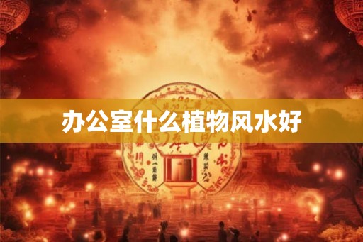 办公室什么植物风水好