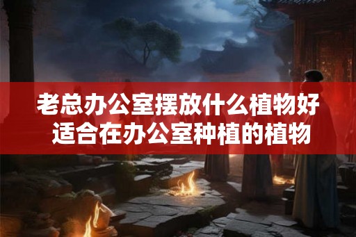 老总办公室摆放什么植物好 适合在办公室种植的植物