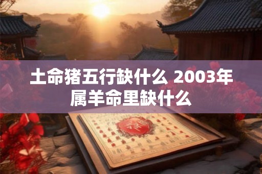 土命猪五行缺什么 2003年属羊命里缺什么