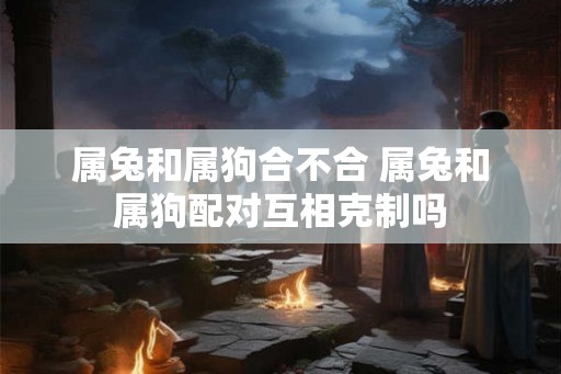 属兔和属狗合不合 属兔和属狗配对互相克制吗