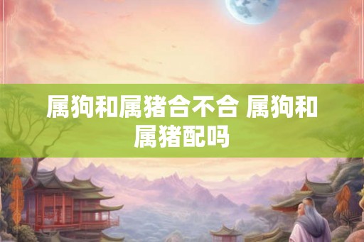 属狗和属猪合不合 属狗和属猪配吗
