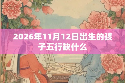 2026年11月12日出生的孩子五行缺什么