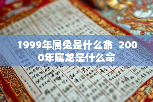 1999年属兔是什么命  2000年属龙是什么命