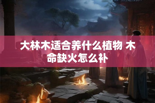 大林木适合养什么植物 木命缺火怎么补