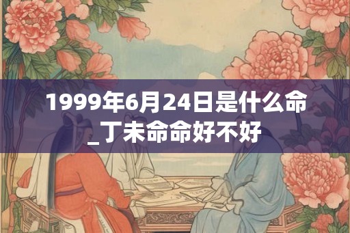 1999年6月24日是什么命_丁未命命好不好