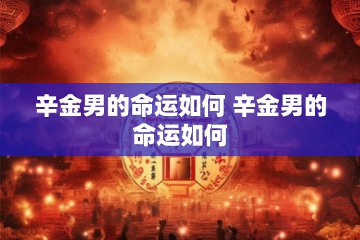 辛金男的命运如何 辛金男的命运如何