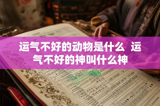 运气不好的动物是什么  运气不好的神叫什么神