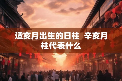 适亥月出生的日柱  辛亥月柱代表什么