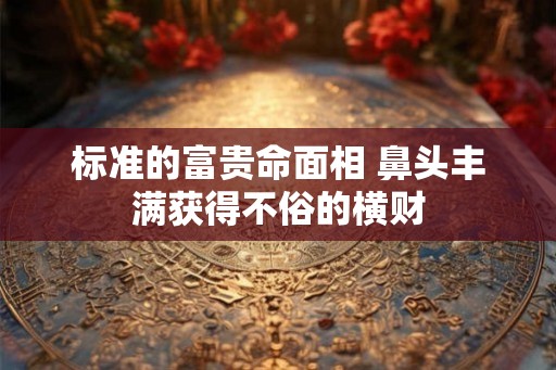 标准的富贵命面相 鼻头丰满获得不俗的横财