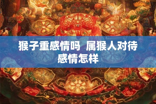 猴子重感情吗  属猴人对待感情怎样