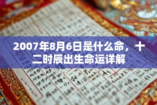 2007年8月6日是什么命，十二时辰出生命运详解