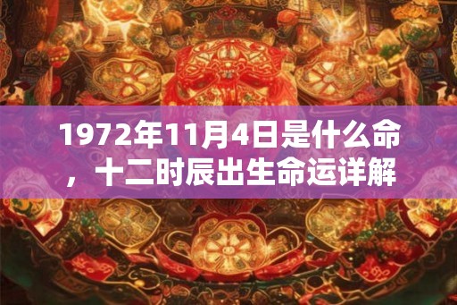 1972年11月4日是什么命，十二时辰出生命运详解