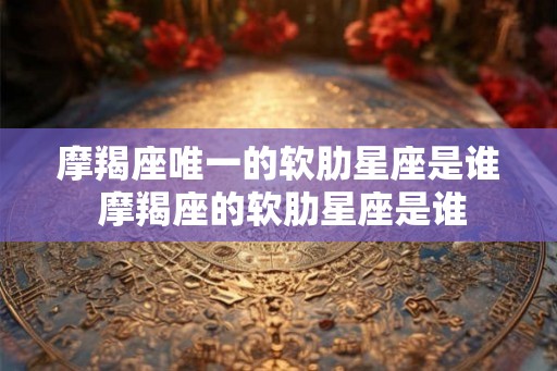 摩羯座唯一的软肋星座是谁 摩羯座的软肋星座是谁