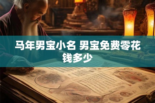 马年男宝小名 男宝免费零花钱多少