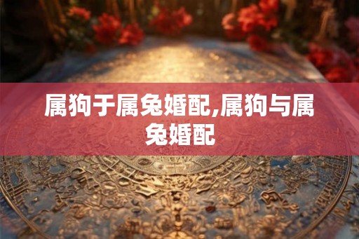 属狗于属兔婚配,属狗与属兔婚配 属狗于属兔婚配,属狗与属兔婚配