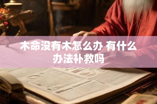 木命没有木怎么办 有什么办法补救吗