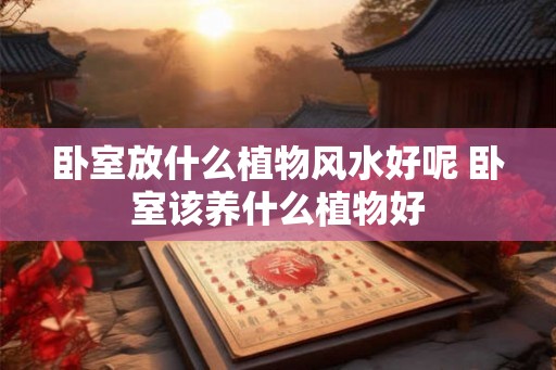 卧室放什么植物风水好呢 卧室该养什么植物好