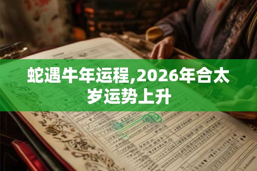 蛇遇牛年运程,2026年合太岁运势上升