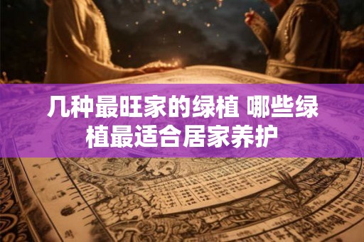 几种最旺家的绿植 哪些绿植最适合居家养护